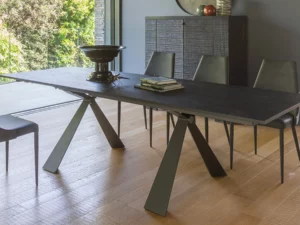 Grande table extensible