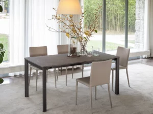 Table extensible 10 personnes
