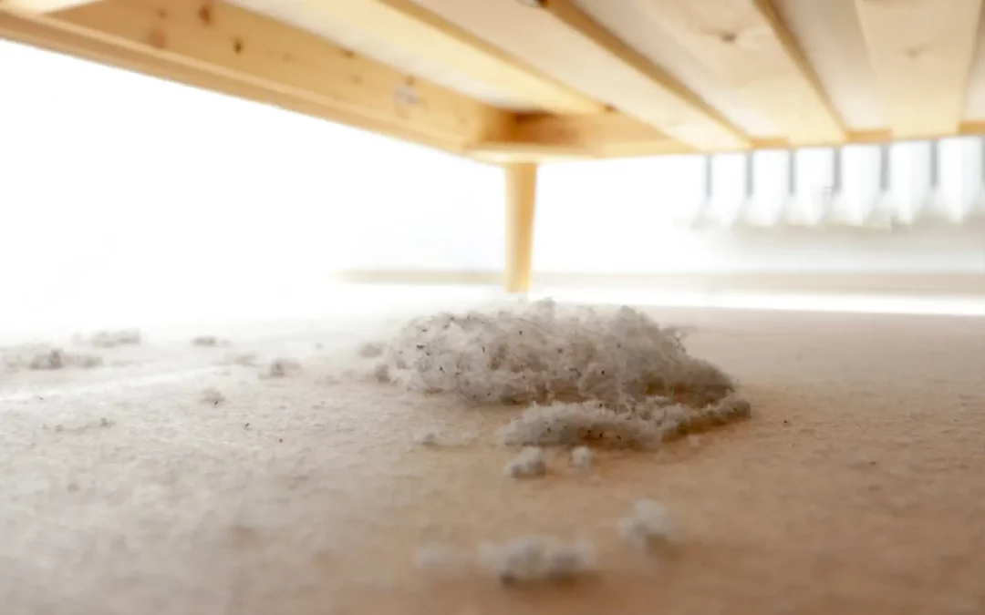 Meilleures Méthodes pour Éliminer la Poussière de Votre Maison